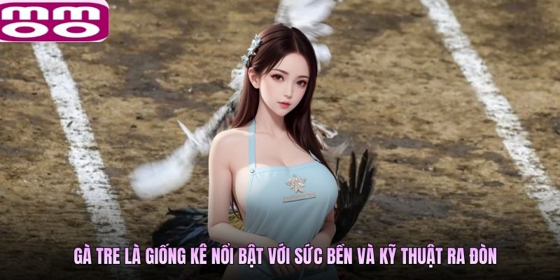 Gà tre là giống kê nổi bật với sức bền và kỹ thuật ra đòn