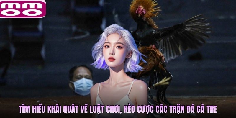 Tìm hiểu khái quát về luật chơi, kèo cược các trận đá gà tre